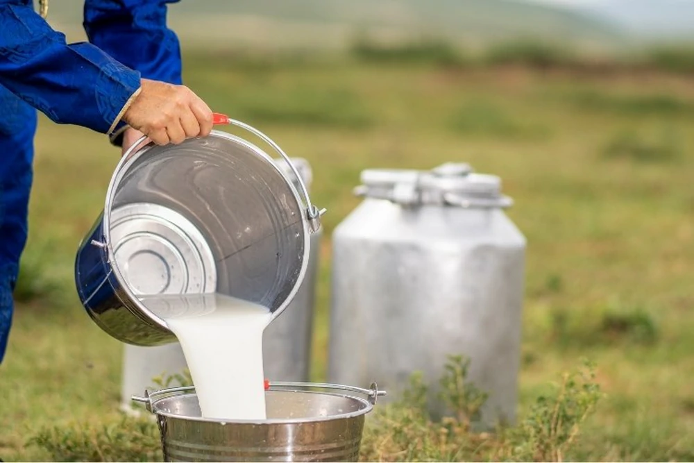 Vlada donijela Program potpore malim mljekarama za sufinanciranje nabave opreme za sabiranje mlijeka u razdoblju do 2027. godine